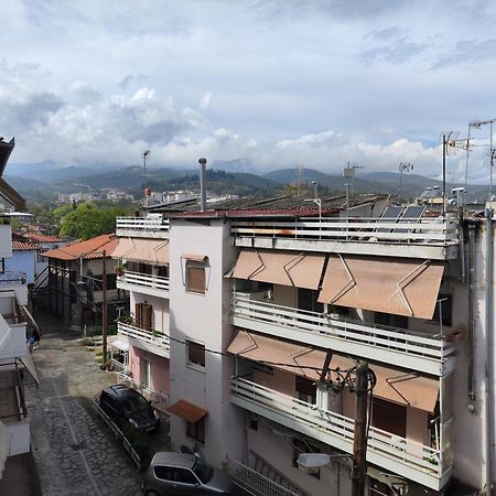 Blue Dreams Apartment Veria  Exterior foto